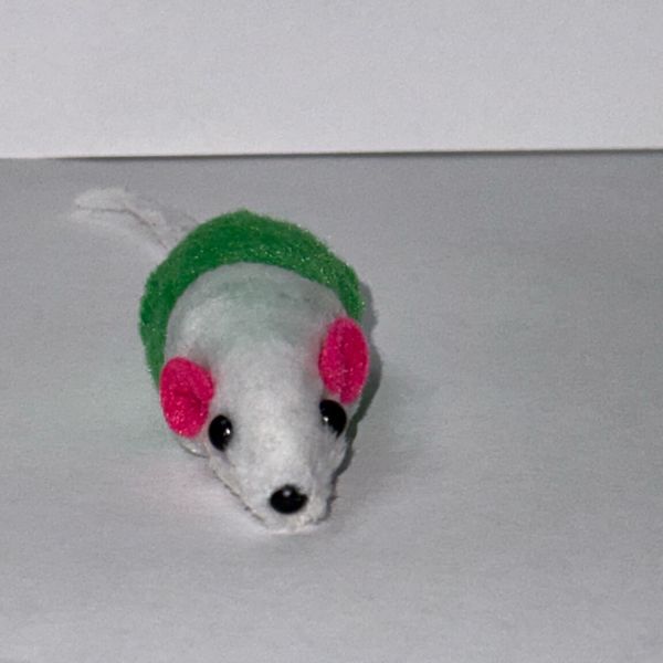 Crime scene photo 2 - Incident 06 & 07