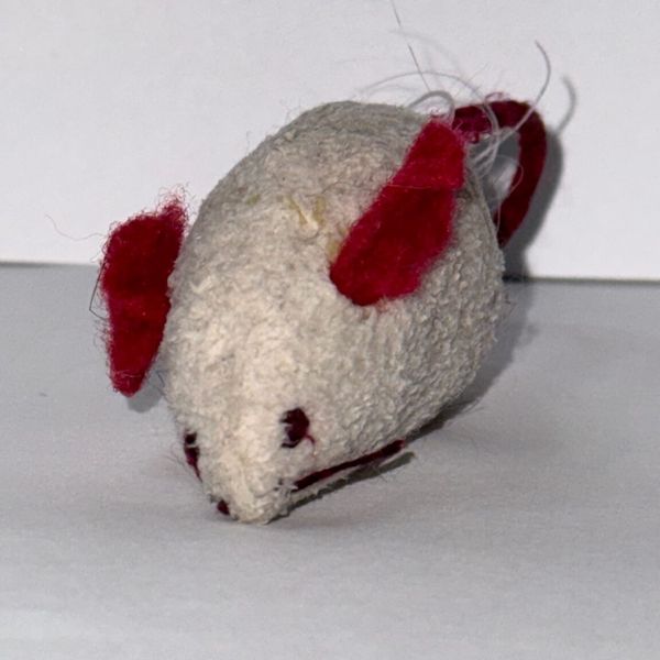 Crime scene photo 3 - Incident 06 & 07