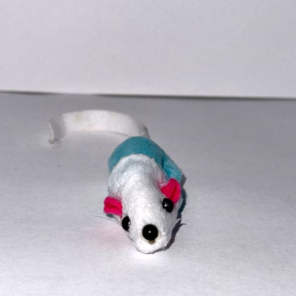 Crime scene photo 2 - Victim recovered