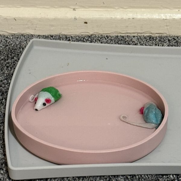 Crime scene photo 2 - Incident 10 & 11