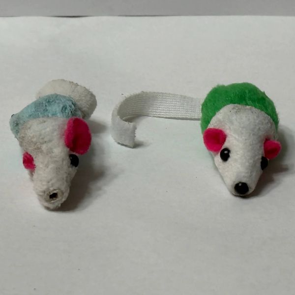 Crime scene photo 3 - Incident 10 & 11