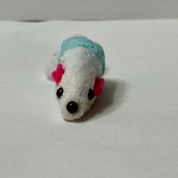 Crime scene photo 2 - Incident 12