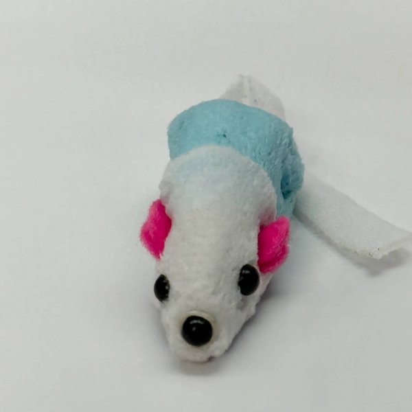 Crime scene photo 2 - Incident 16