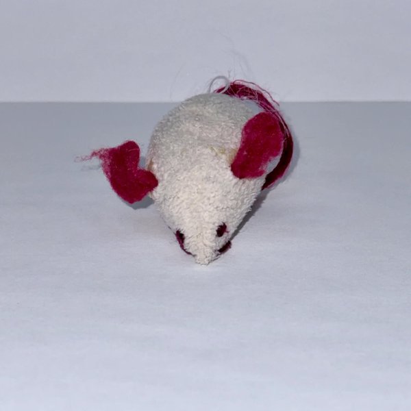 Evidence photo of victim