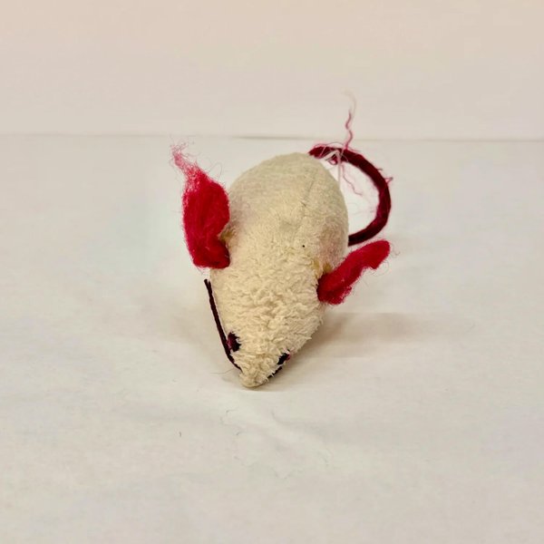 Evidence photo of victim — body intact